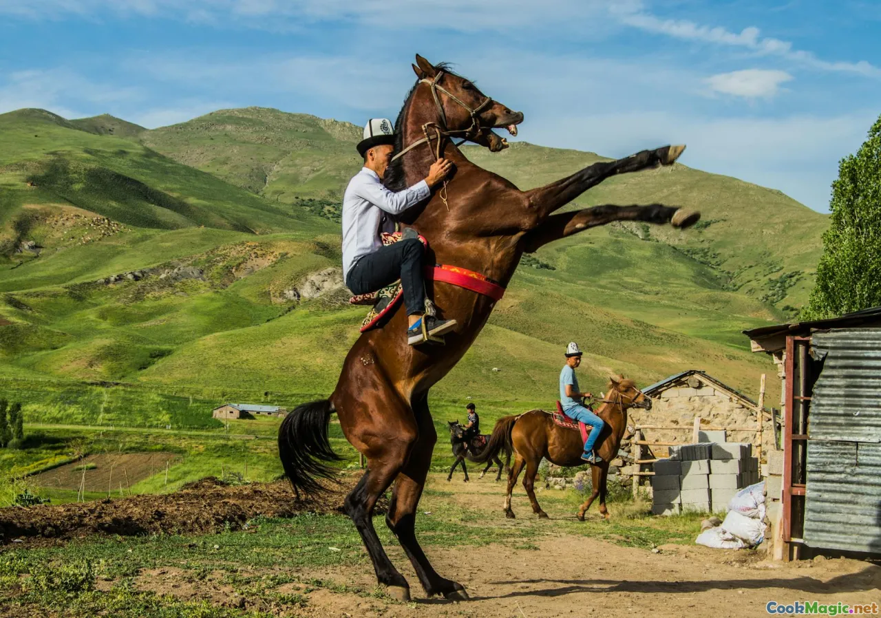 Naryn, mountain landscape, Kyrgyz plov