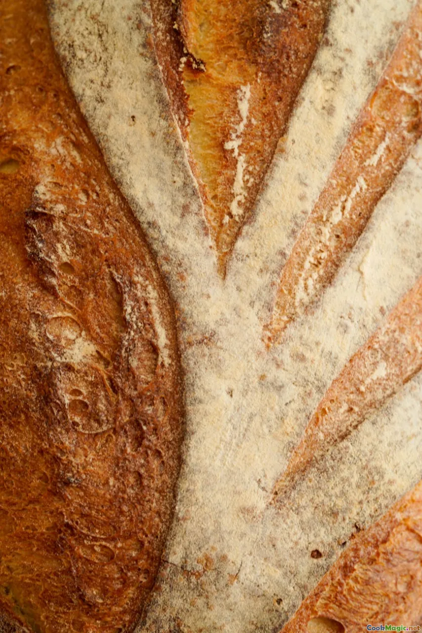 natural leaven, rustic bread, fermentation bubbles, artisan crust