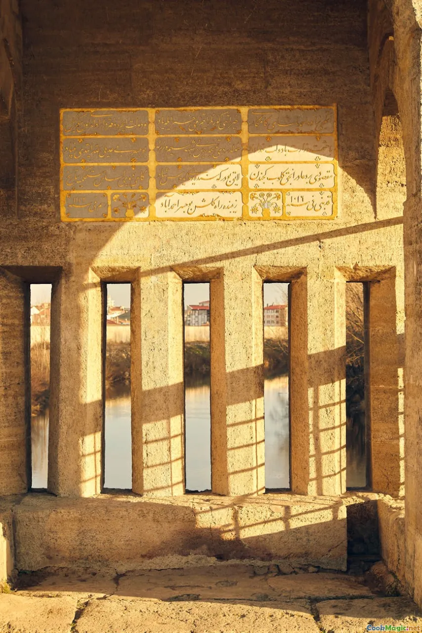 olive groves, ancient trees, Turkish landscape, heritage