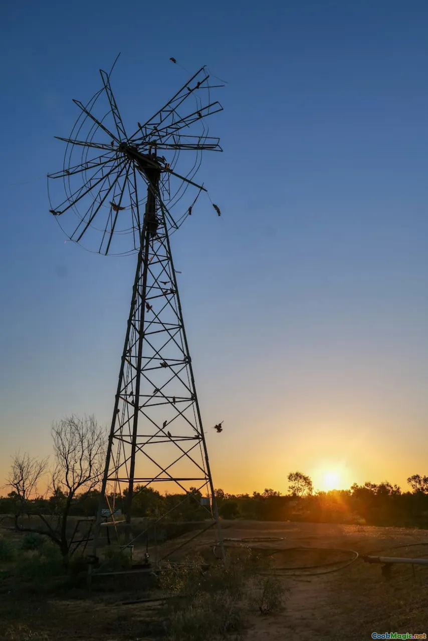 Outback, open fire, traditional cookout, desert landscape