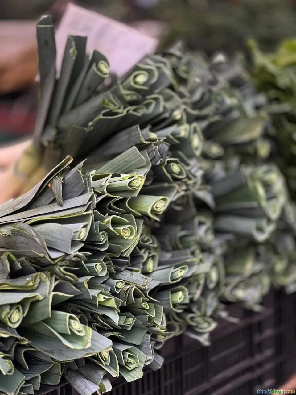 Exploring Unique Uses For Pandan In Malaysian Cooking