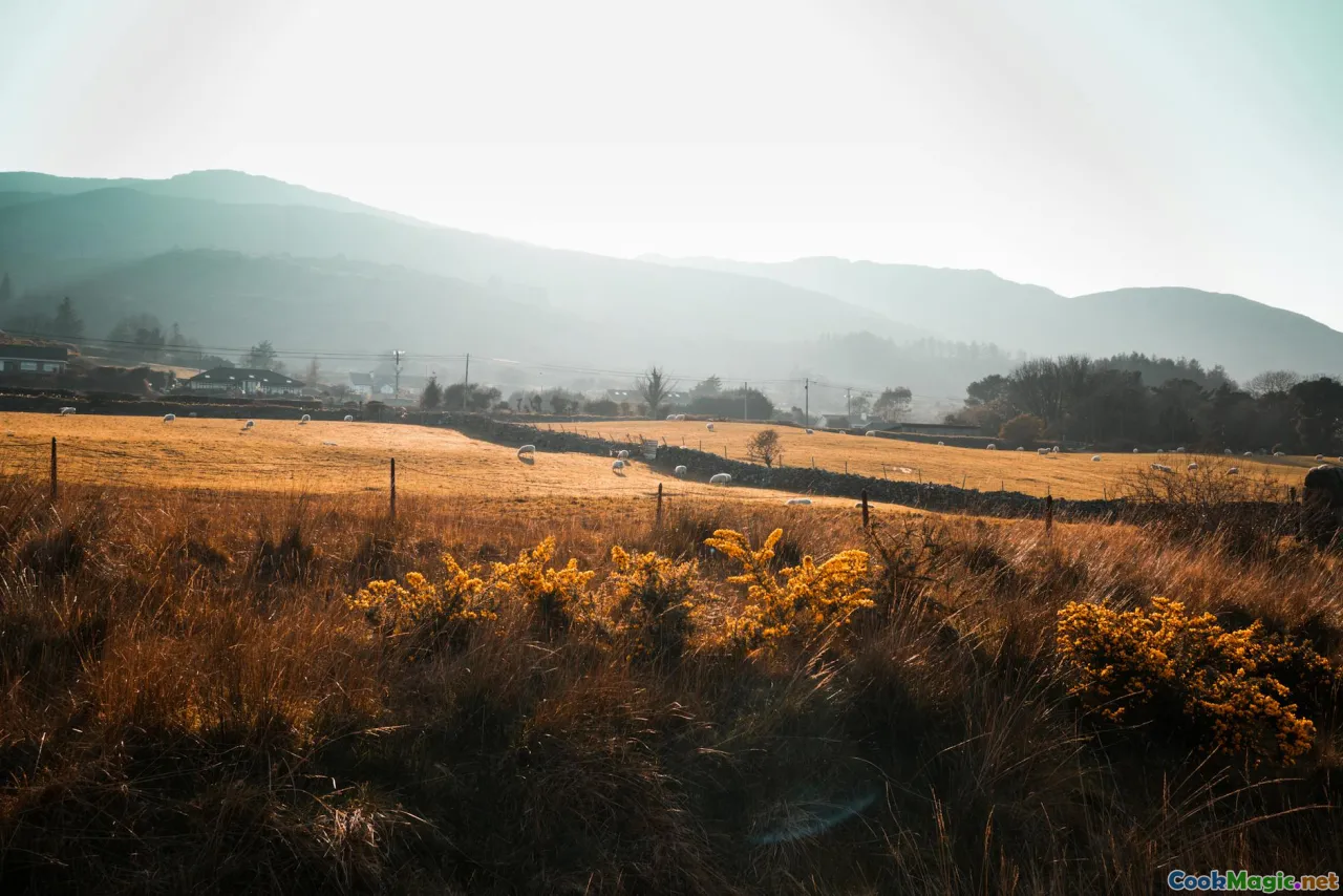 pastures, sheep, mountains, Macedonia