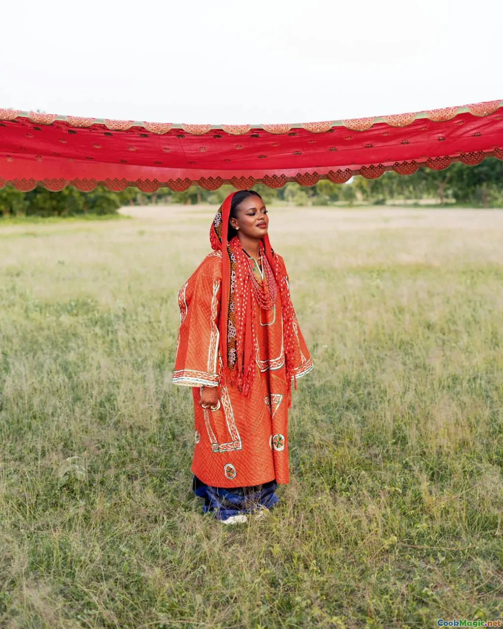 PNG village, traditional cooking, tribal celebration, lush landscape