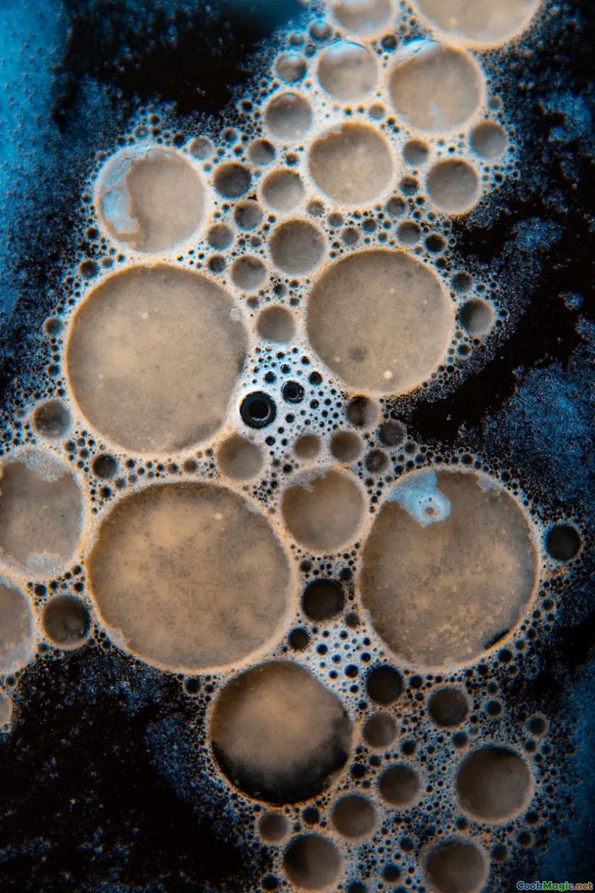 science, bubbles, starch, browning