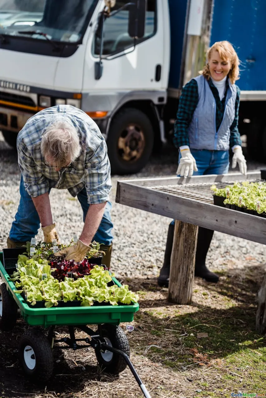 seedlings, calendar, harvest, garden tools