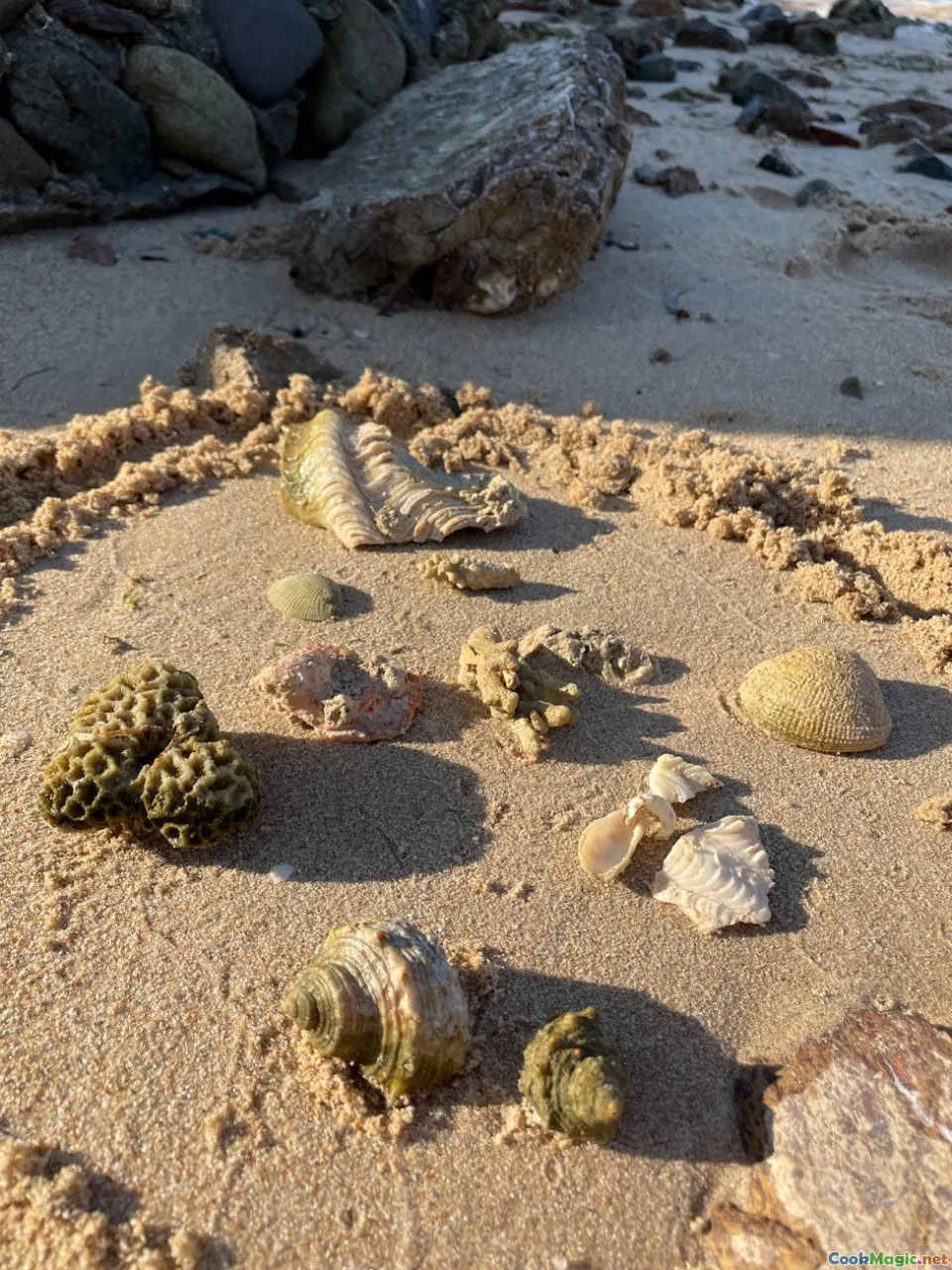 skadar, brudet, mussels, fishingboat