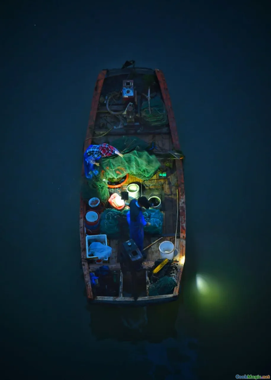 spearfishing, handline, reef at night, fishing nets