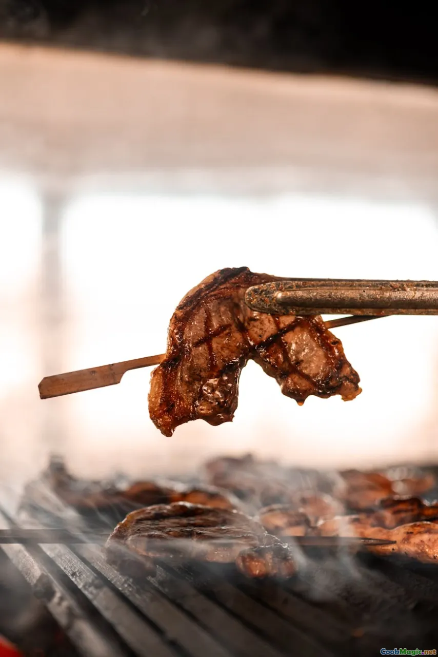 tips, troubleshooting, grill, chef