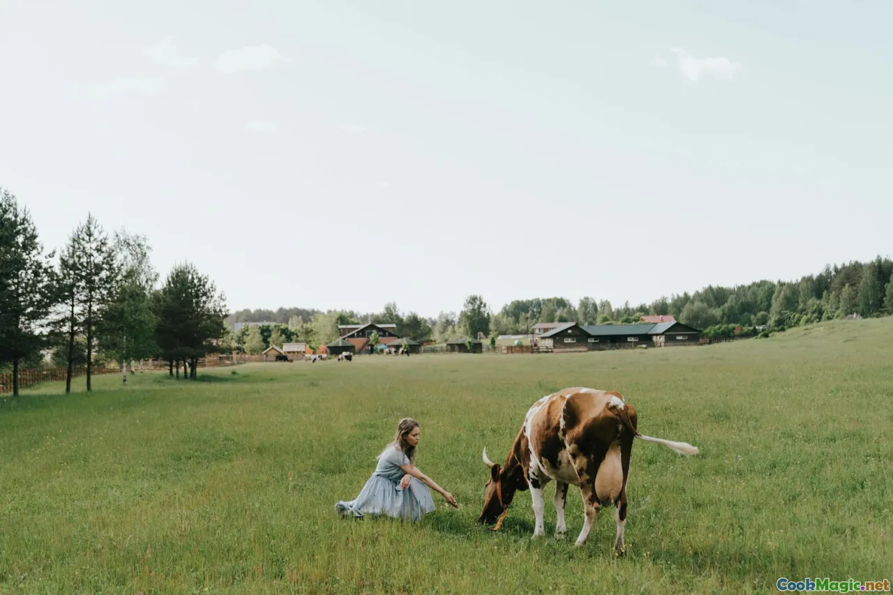 traditional Hungarian farm, dairy cow, rural landscape, old artisan dairy