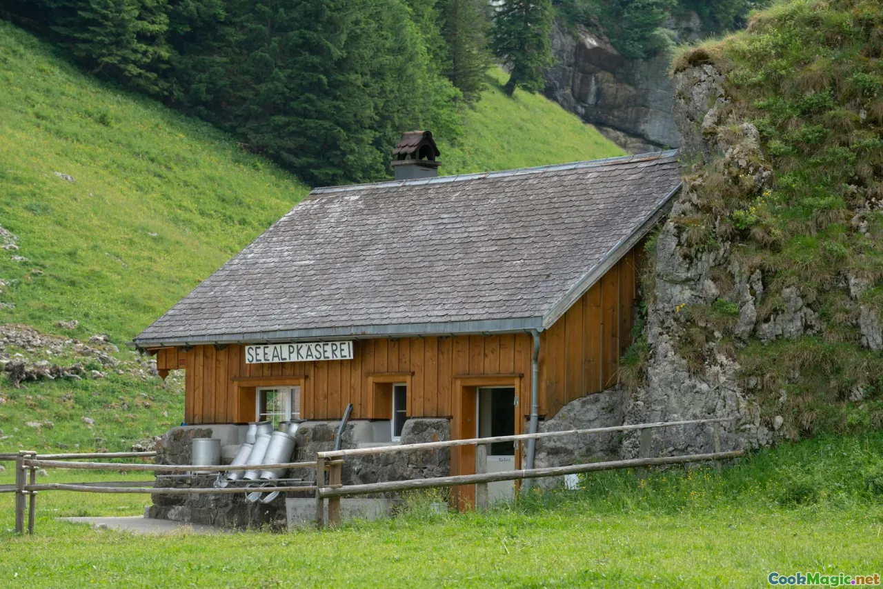 A Guide to Andorran Cheeses and Their Unique Flavors