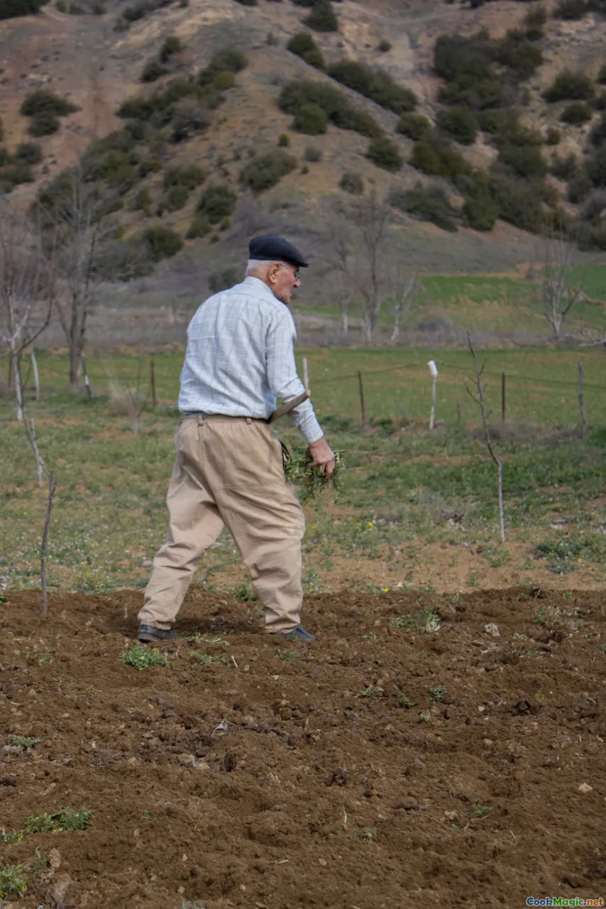 Exploring the History of Traditional Hāngi Cooking