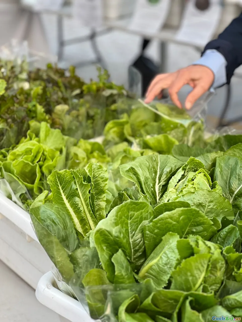 농장에서 식탁까지: 지역 재료의 부상