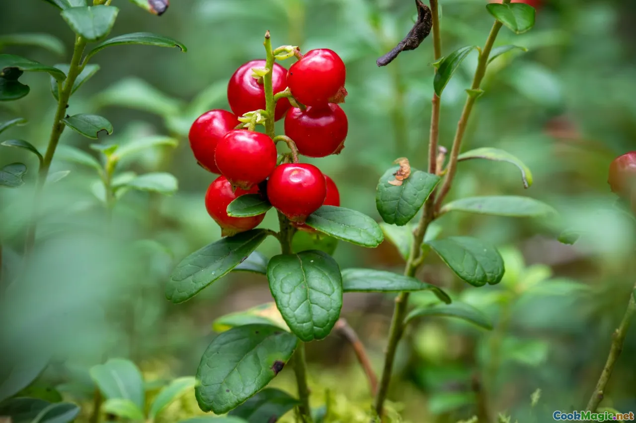 Harnessing Island Wild Greens in Vanuatu Recipes