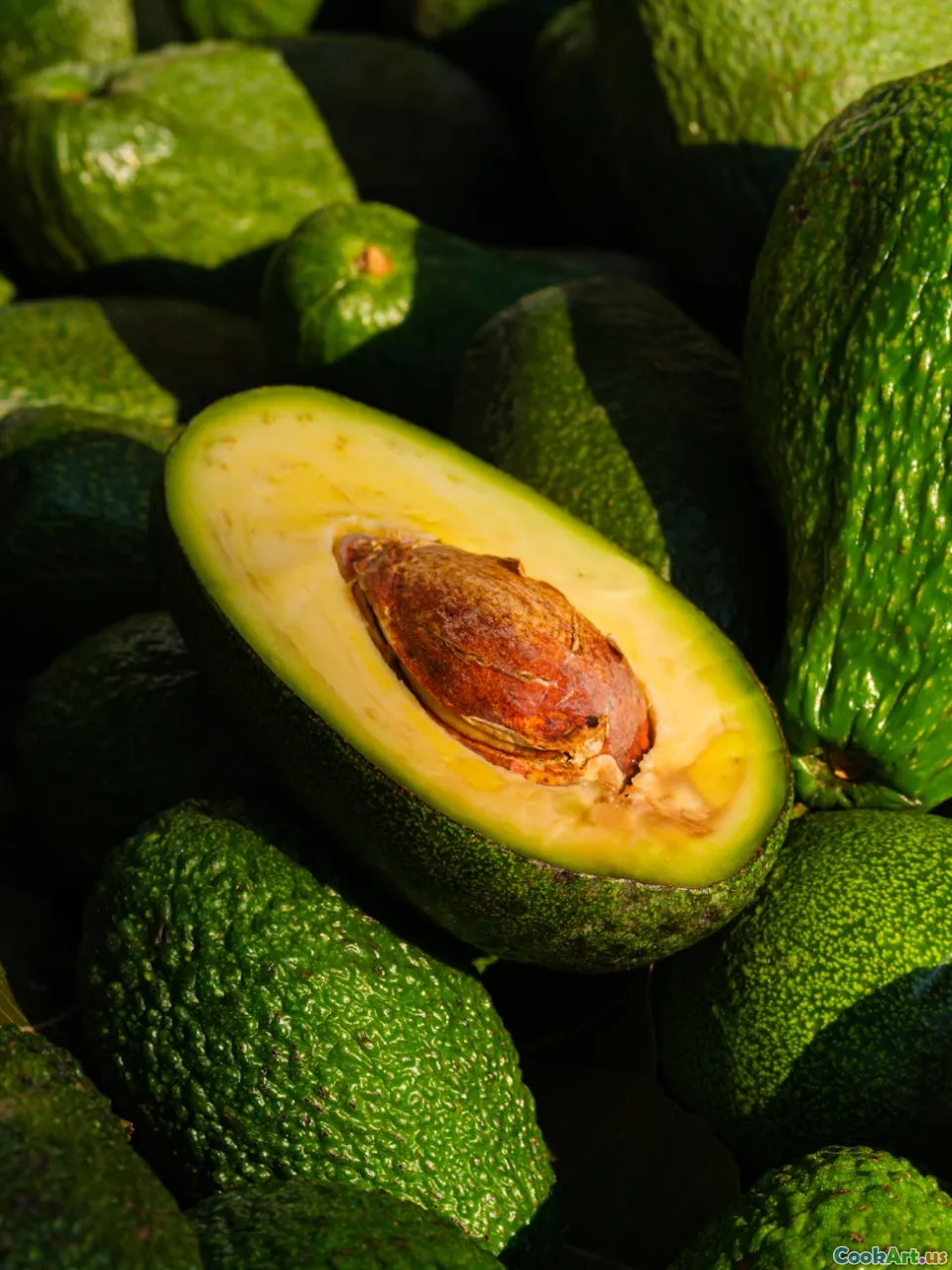 Grassi Sani: Il Buono, Il Cattivo e Il Brutto