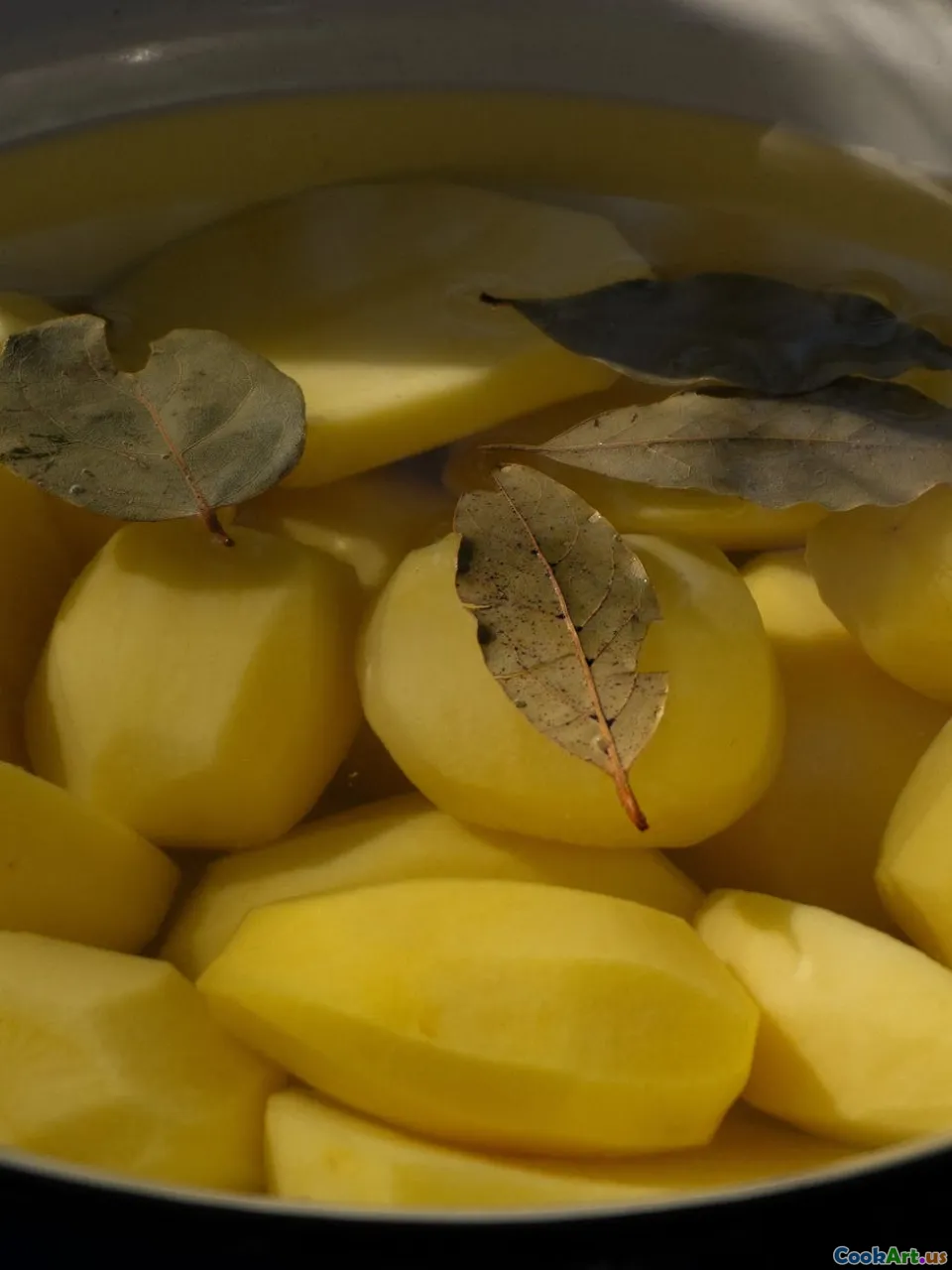 Травы и специи: природные усилители вкуса