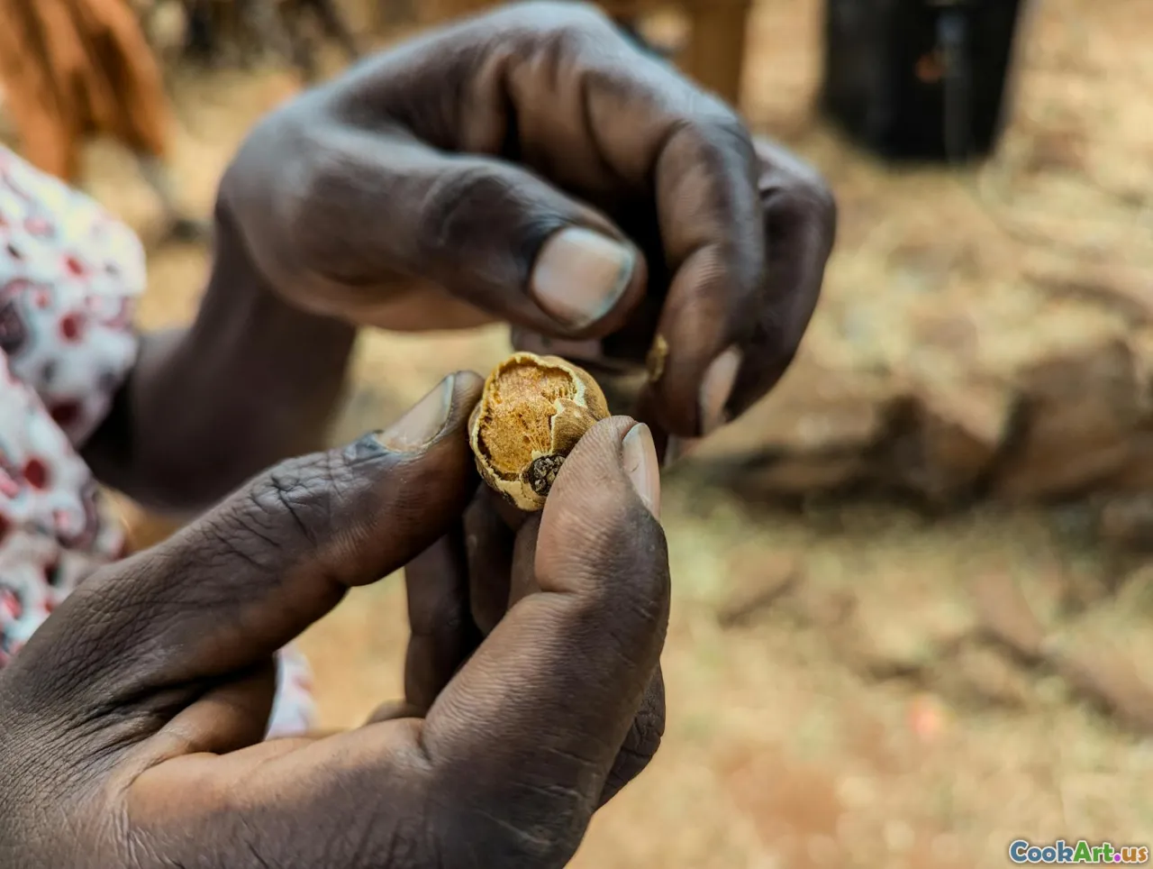 Nông nghiệp Chính xác: Chuẩn mực Mới