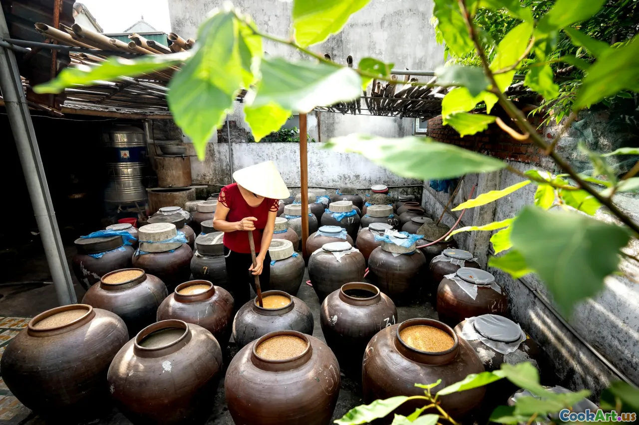 Técnicas de conservación de todo el mundo