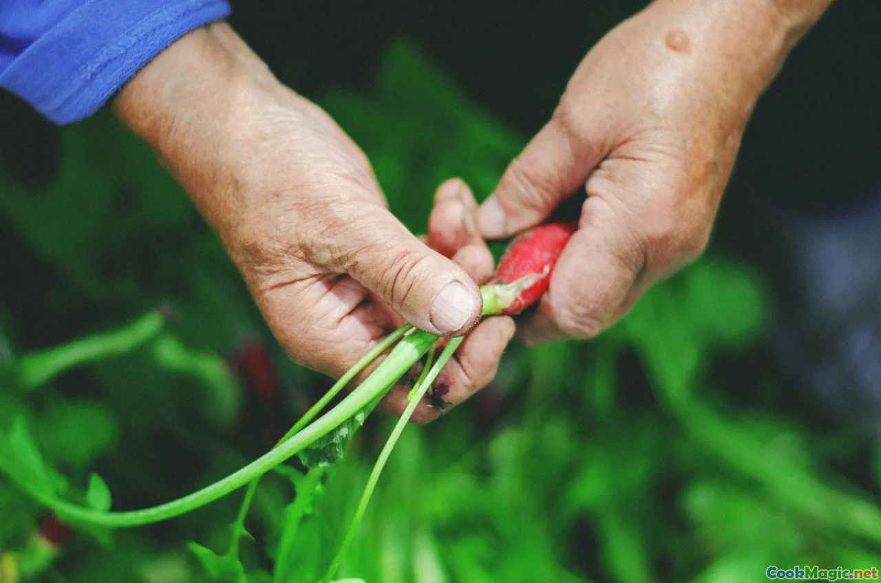Regenerative Agriculture Practices for Chefs