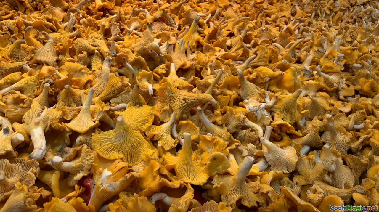 Saisonale schwedische Zutaten