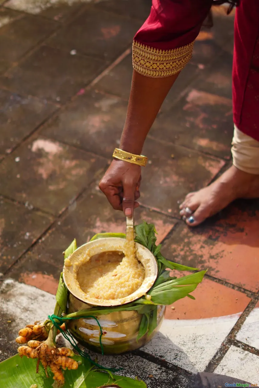South Indian Pongal Festivals and Sweet Rice Rituals