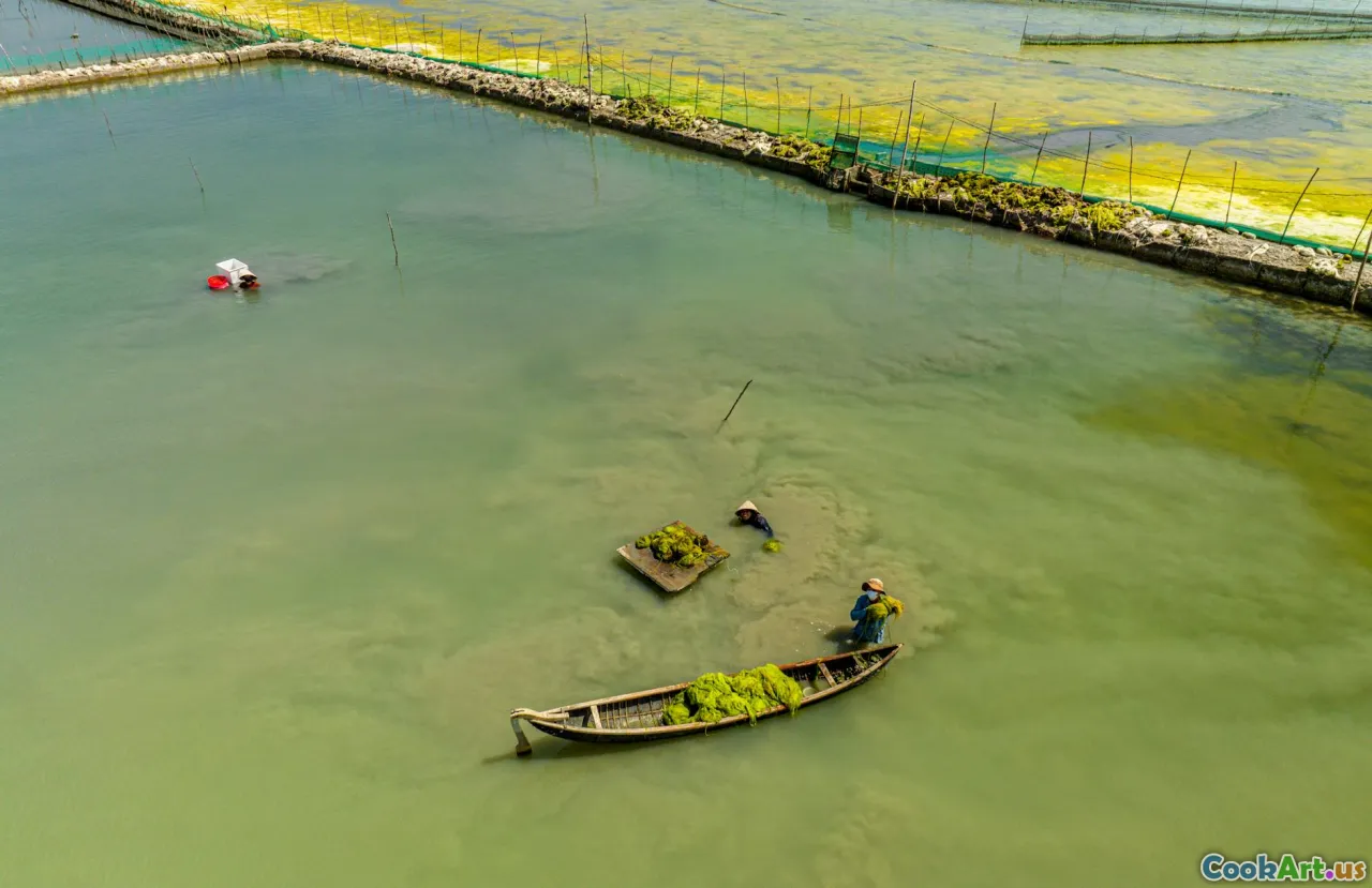 Solusi Seafood Berkelanjutan