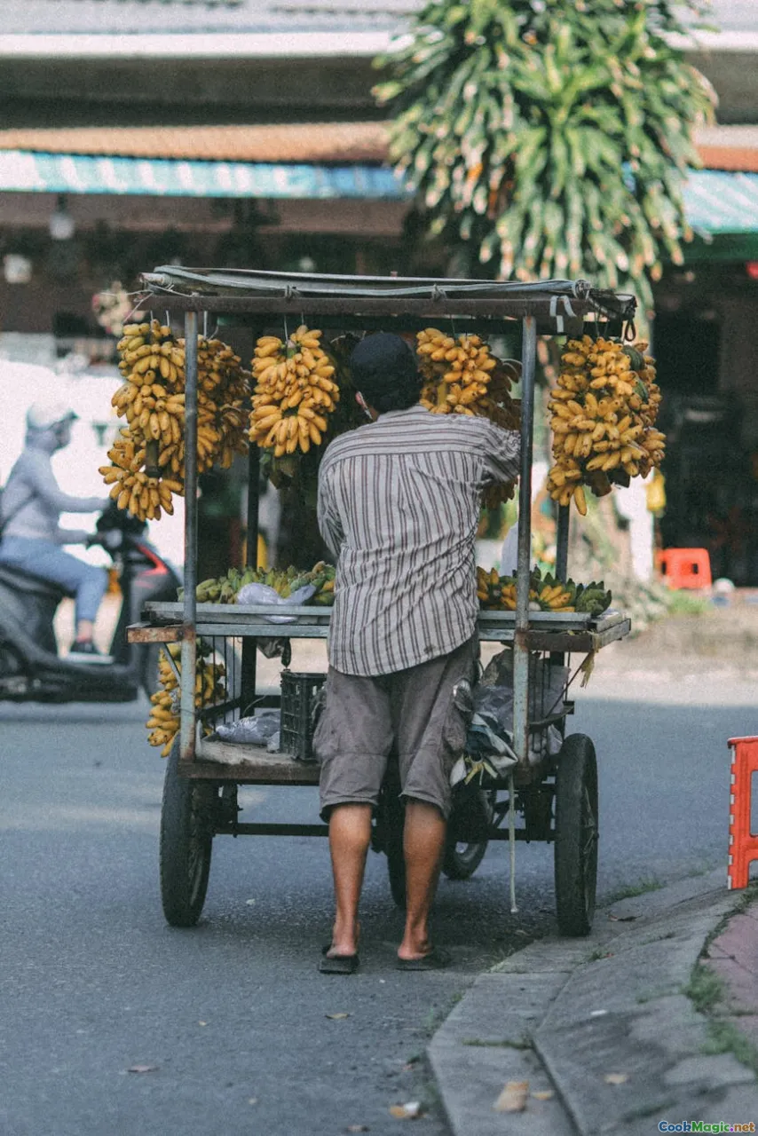 The Economic Impact of Food Carts in New York