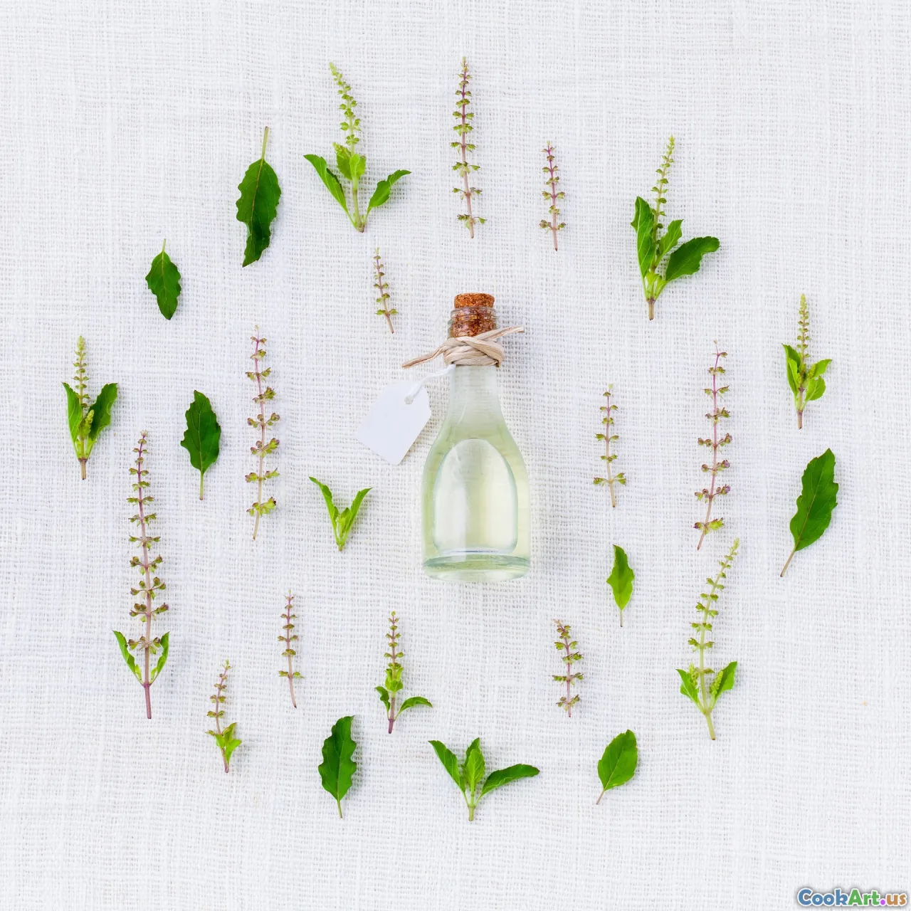 O guia essencial para especiarias e ervas