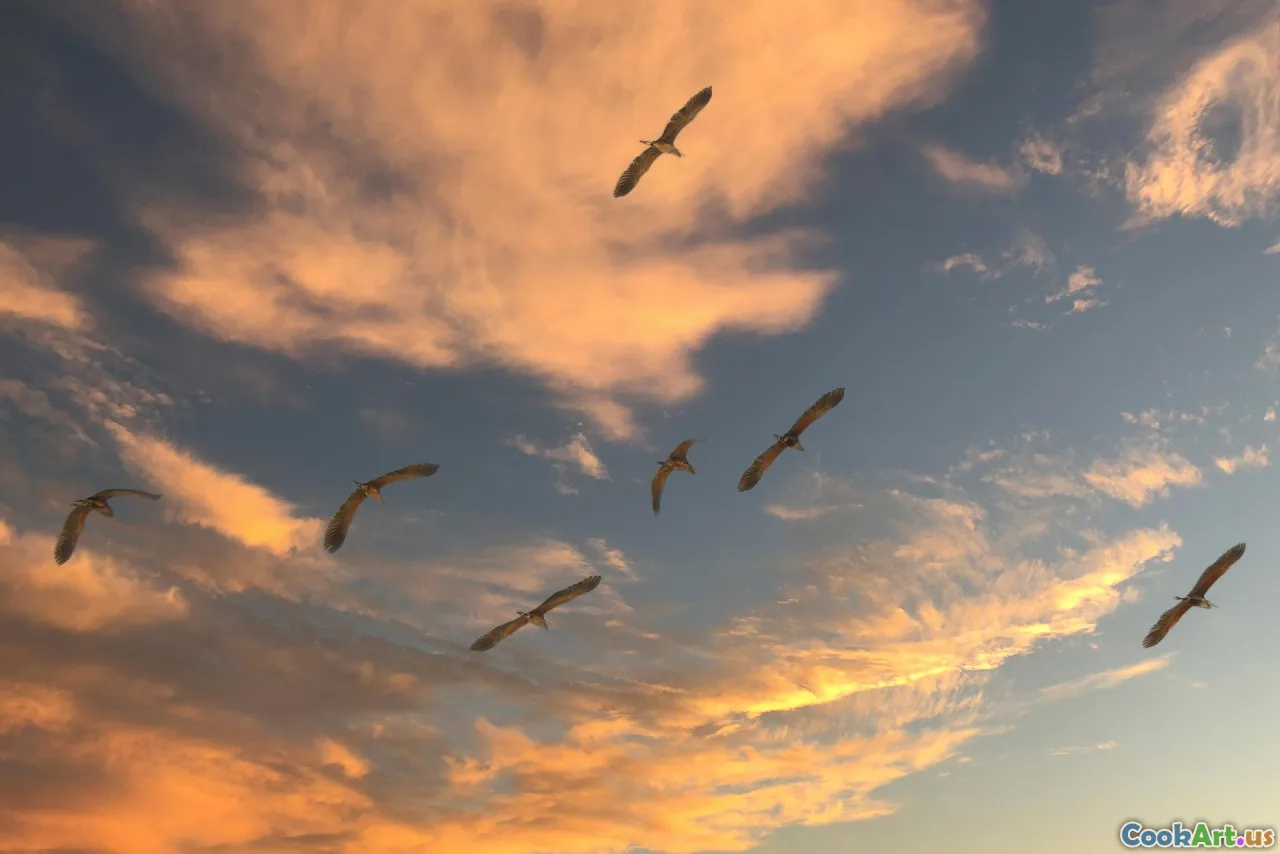 Влияние миграции на мировые тенденции в области продовольствия