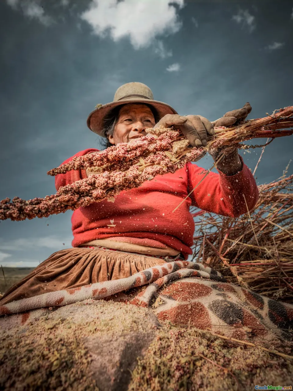 Tracing the Journey of Quinoa from Andes to Global Plates