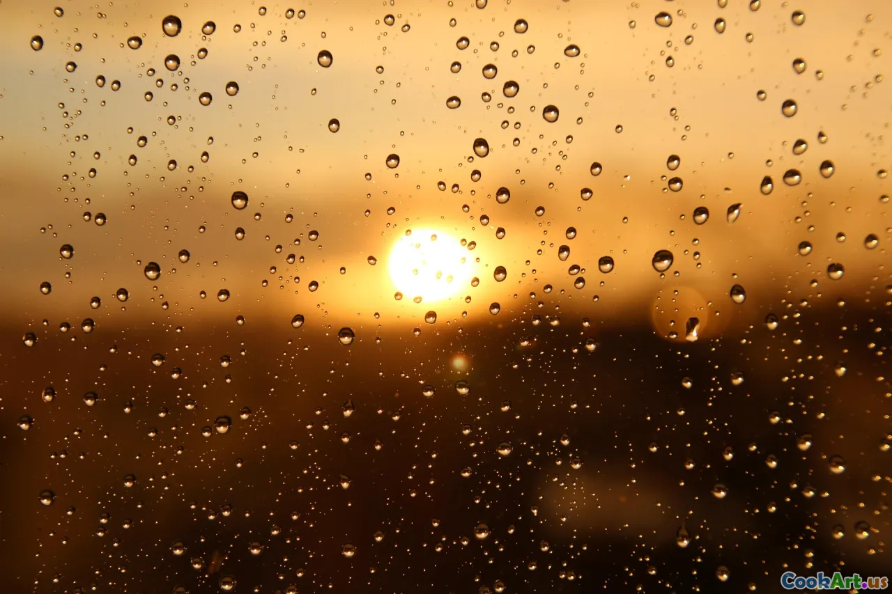 बेहतर स्वास्थ्य के लिए मैक्रोन्यूट्रिएंट्स को समझना