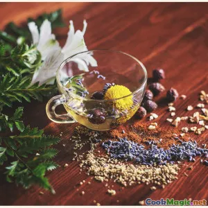 Local Herbs and Their Uses in Andorran Recipes
