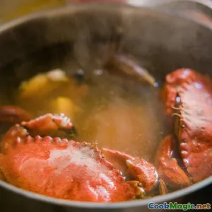 Lowcountry Boil Essentials for Southern Entertaining