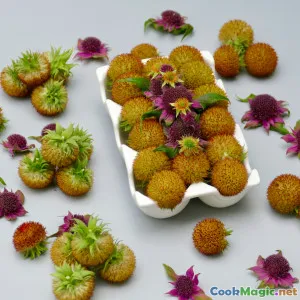 Edible Flowers Elevating Everyday Dishes