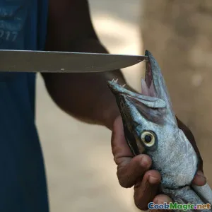 Fish Preservation Methods in Senegalese Cuisine