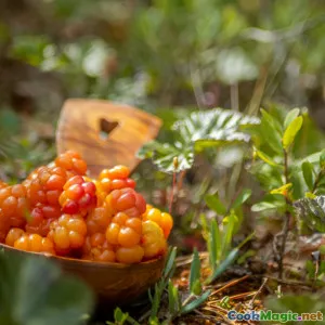 How Juniper Enhances Finnish Meat Dishes