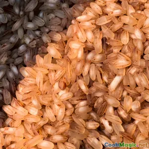 Choosing the Right Rice for Locrio Recipes