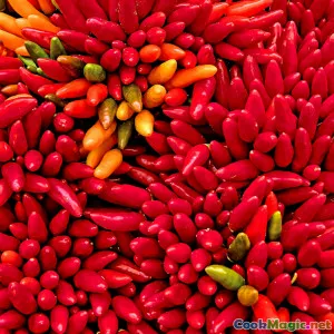 A Guide to Traditional Mexican Chiles and Uses