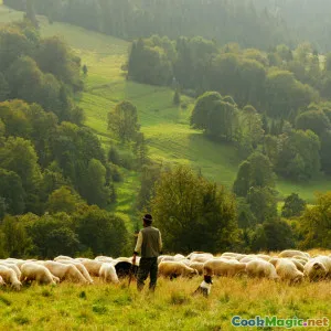 Vegetarian Twists on the Iconic Shepherds Pie