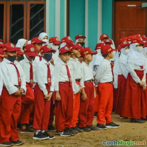 Miso-Paste-Varianten und die richtige Wahl