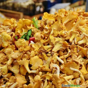 How Foraging for Mushrooms Taught Me Patience