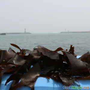 挪威海鲜的纯素替代品