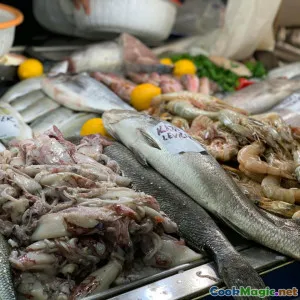 Analyzing Albanian Seafood Dishes on the Coast
