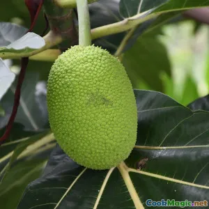 Seasonal Ingredients in Grenadian Cooking