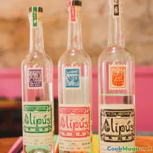 Guide to Iconic Chilean Drinks Beyond Pisco