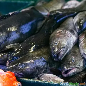 Navigating Cuban Seafood Dishes Preparation and Sourcing