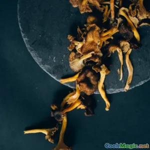 Foraged Herbs and Baltic Regional Flavor Profiles