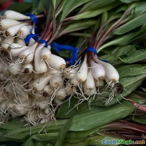 Seasonal Ingredients in Cypriot Home Cooking