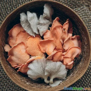 Unlocking Mushrooms Russian Foraging and Culinary Traditions