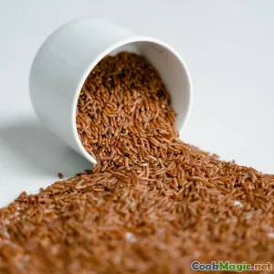 The Significance of Shiro in Everyday Ethiopian Diets