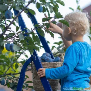 Apoyando a las pequeñas granjas para un mañana más verde